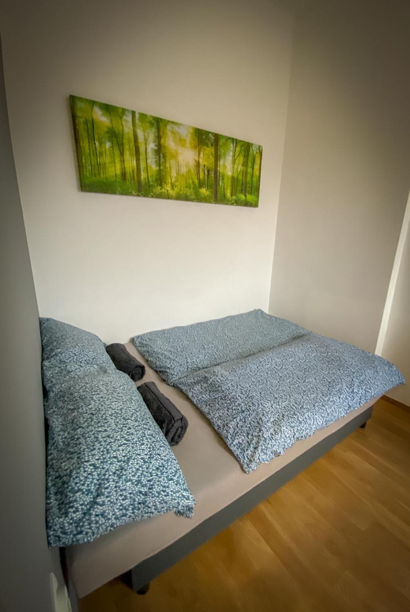 Lovely Central Apartment With Free Parking, Koezponthoz Koezeli 3 Szobas Lakas ジュール エクステリア 写真